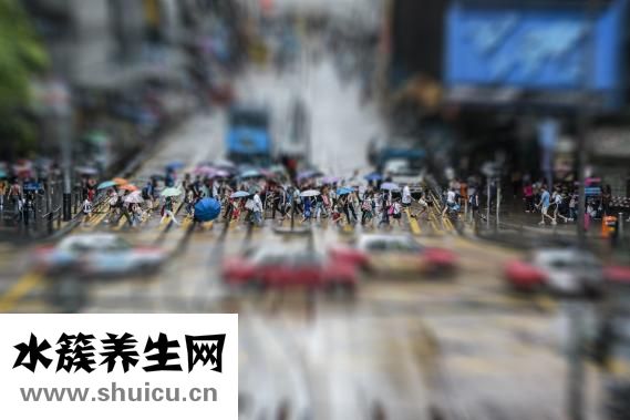 黃芪精顆粒