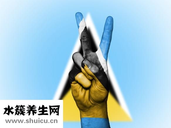 輸卵管結扎術