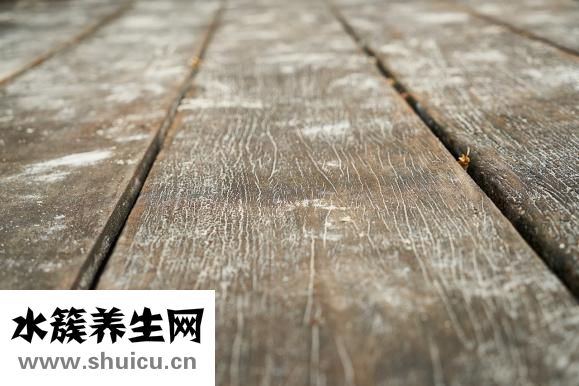 魚膠怎么泡發好