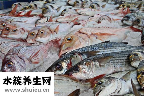 酸菜魚調料