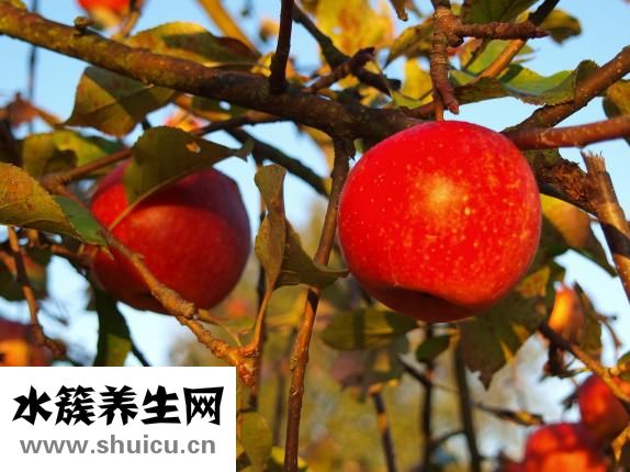 香蕉水有毒嗎