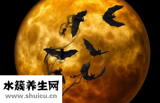 肩胛下角平對第幾肋