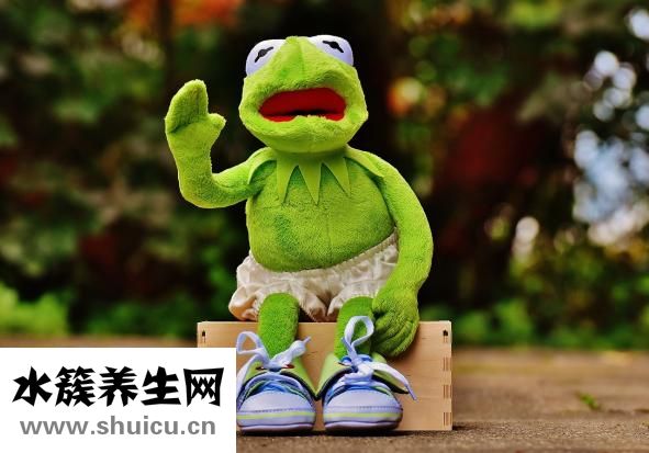 痛風可以吃菠菜嗎
