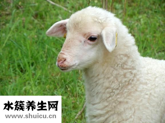 月經止痛藥
