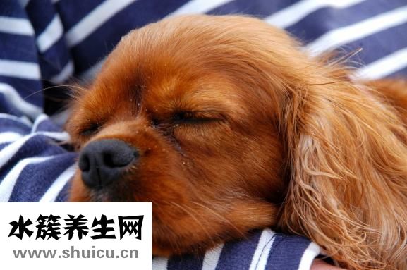瞳孔擴散圖片