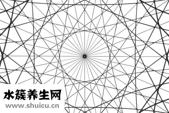視力矯正手術