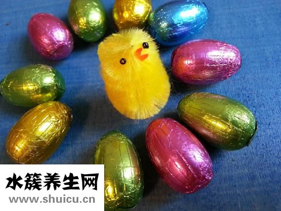 雞蛋牛奶布丁