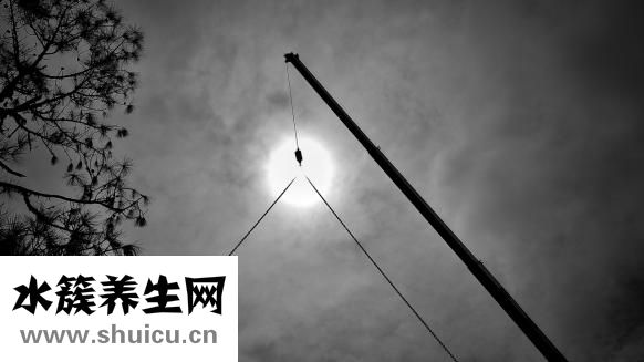 手掌經絡圖