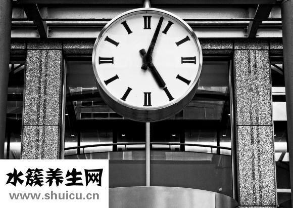 腌制咸鴨蛋