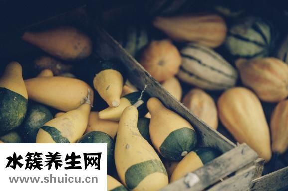 羊肉冬瓜湯