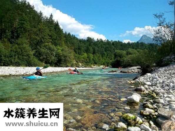 西梅上火嗎