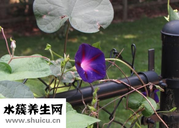 牽?；ǖ奶攸c