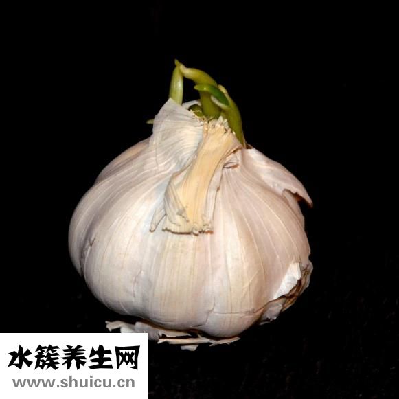 炸雞粉配方