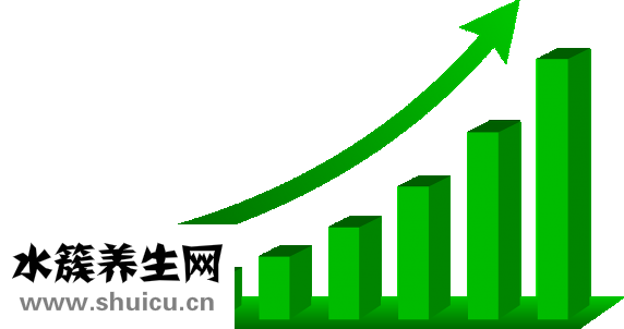 西洋參的功效