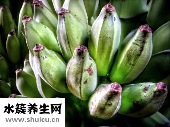 香蕉餅的做法