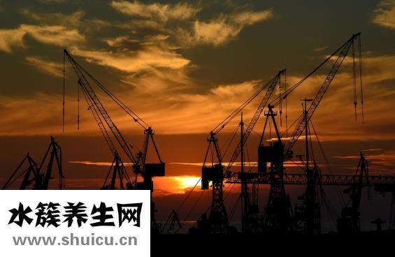 陽痿按摩手法