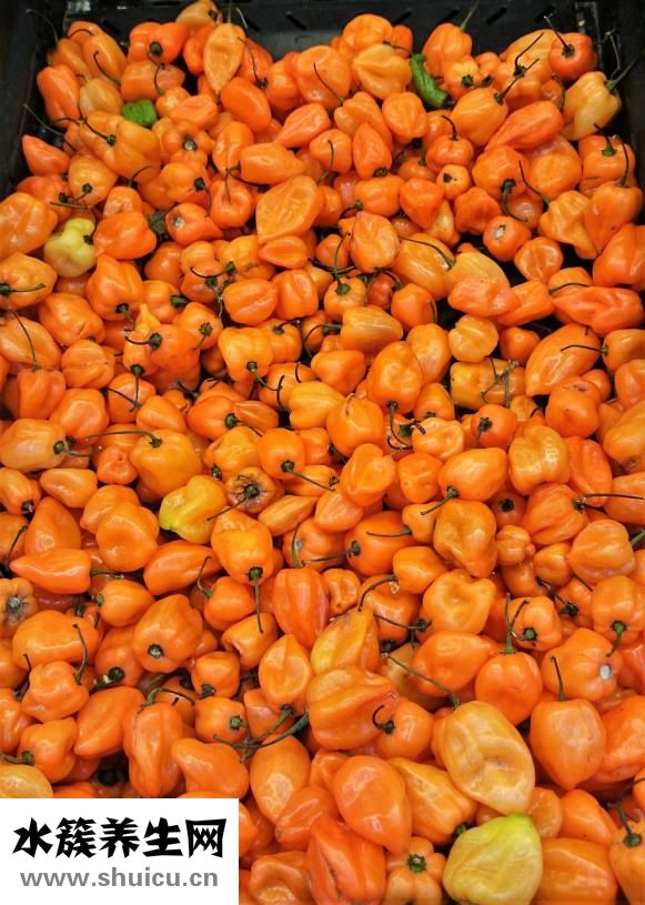 豆腐干炒芹菜
