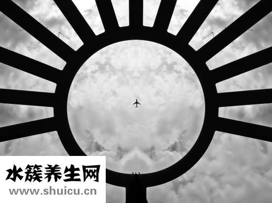 豬瘟傳染人嗎