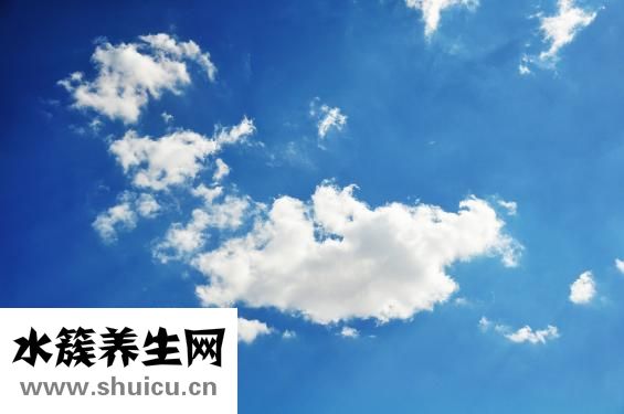 羊肉冬瓜湯