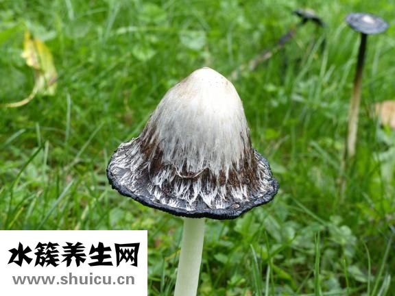 癬早期癥狀