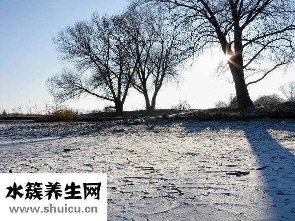 陽池準確位置圖