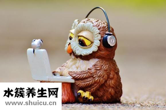魷魚怎么洗