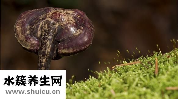 癬早期癥狀