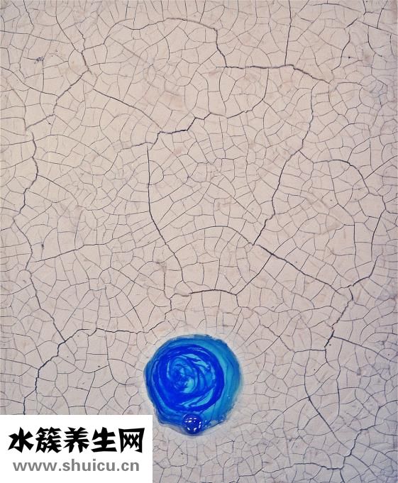 魷魚怎么洗