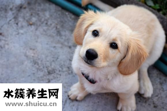 濕診怎么治