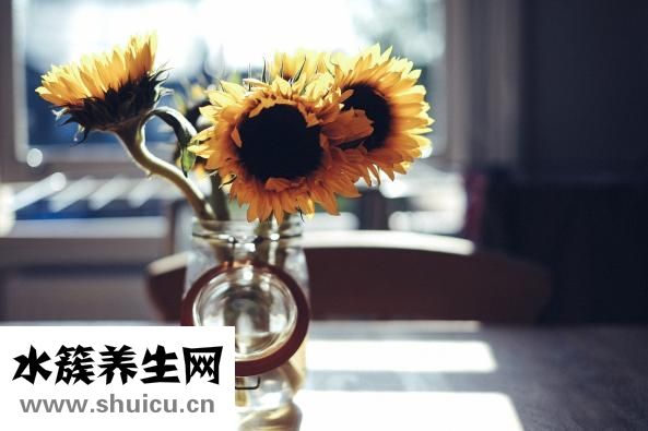 梅格斯綜合征