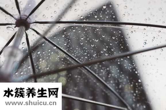 豬瘟傳染人嗎