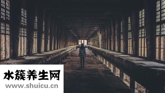 香砂仁圖片