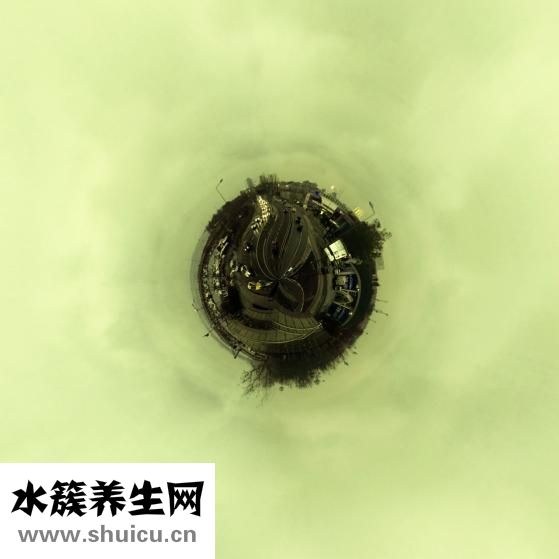 生姜能祛斑嗎