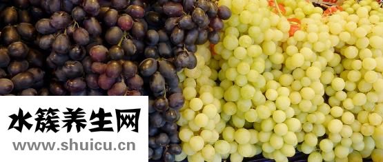 無根滕的功效
