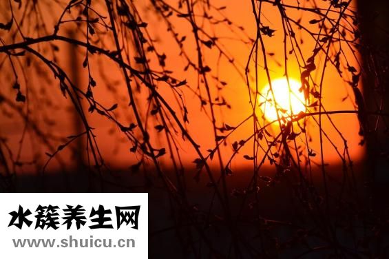 試紙兩道杠