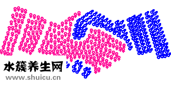 鹽酸帕羅西丁