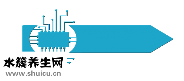 腰椎融合手術