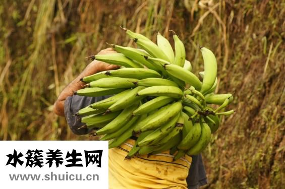 香蕉通便嗎