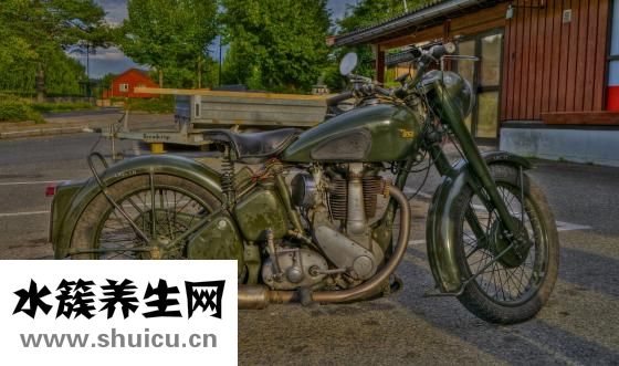 血清和血漿