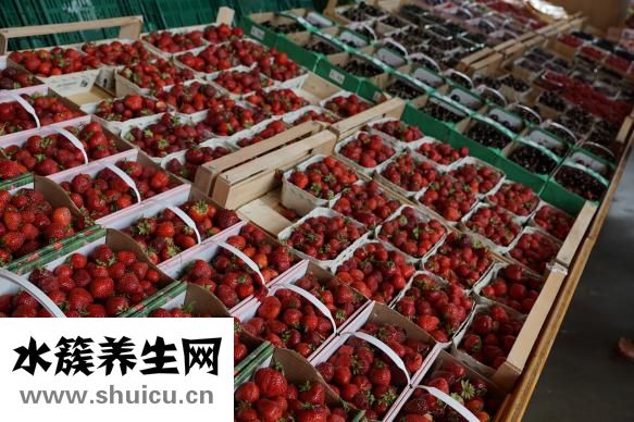 絲瓜的熱量