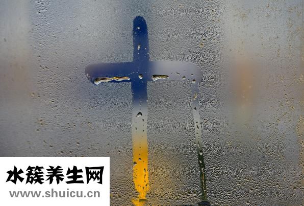膠原蛋白飲料