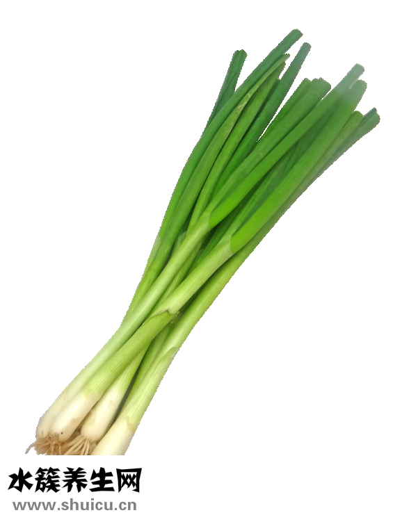 茼蒿怎么摘