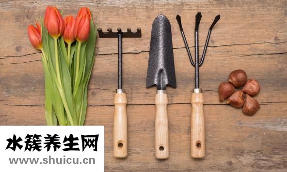 生米可以吃嗎