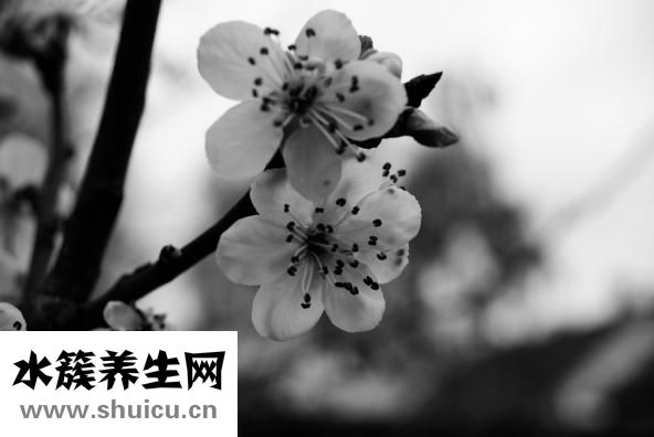 韓式斜劉海
