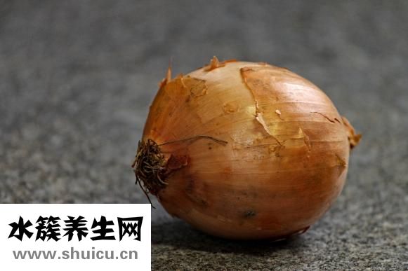油麥菜的熱量