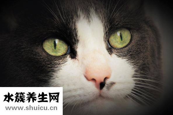 近視的標準