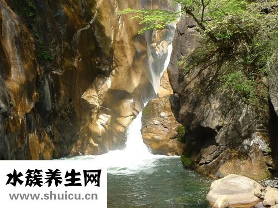 硝酸異山梨酯