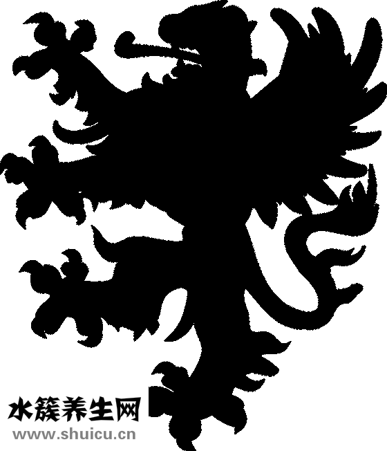 舌頭有裂痕