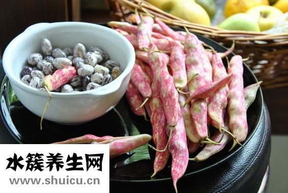 胡蘿卜燉雞