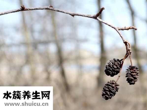 透明細胞癌